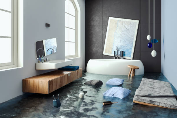 Best Ceiling water damage repair  in Zimmerman, MN
