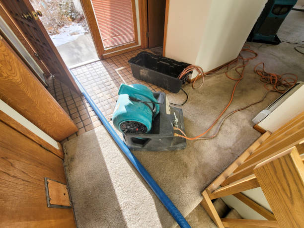 Best Local water damage restoration  in Zimmerman, MN