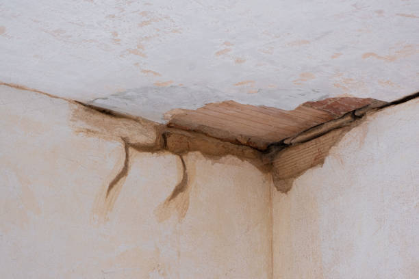 Best 24-hour water damage restoration  in Zimmerman, MN