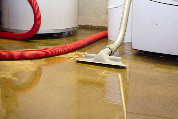 Best Sewage cleanup and water damage restoration  in Zimmerman, MN