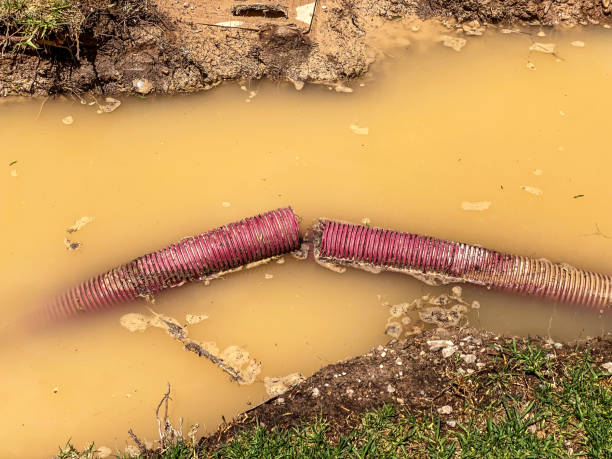 Best Water damage restoration near me  in Zimmerman, MN