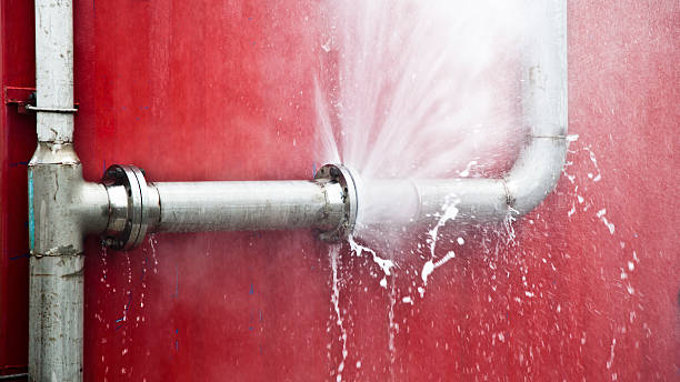 Best Water damage restoration near me  in Zimmerman, MN